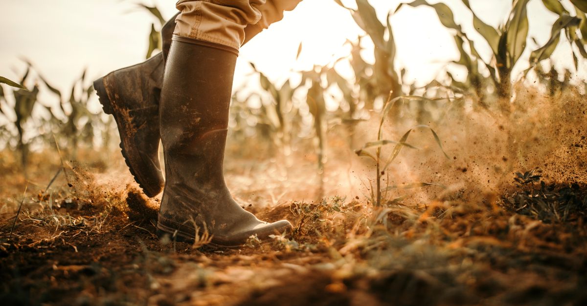 OD8 Trabalho Digno e Crescimento Económico atividades pedagógicas
