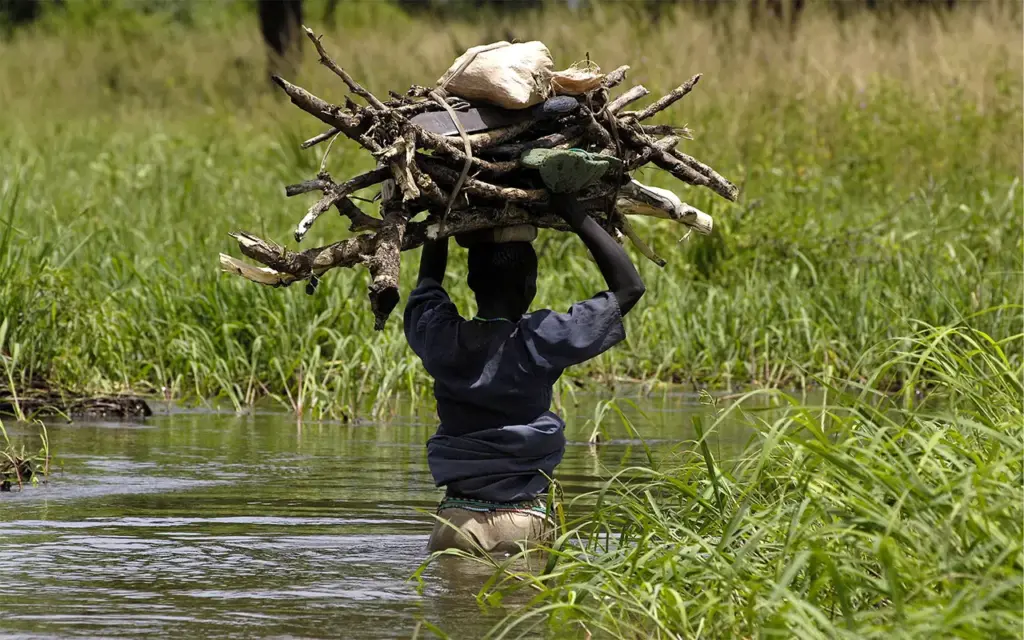 carta aberta transicao climatica