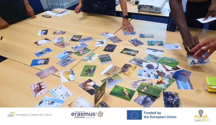 From International Experience to Local Impact 